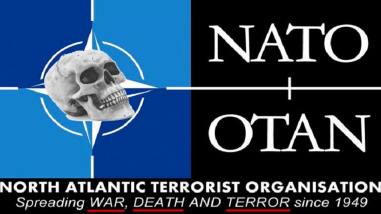 НАТО-террорист