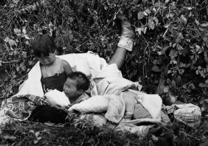 жертвы войны