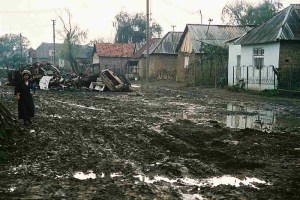 224925396_fbabf62d3158b9e221cce6d34a366c08_800