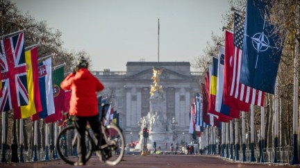 Флаги стран-участниц НАТО перед Букингемским дворцом