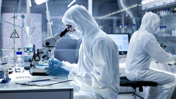 корона-лаб.