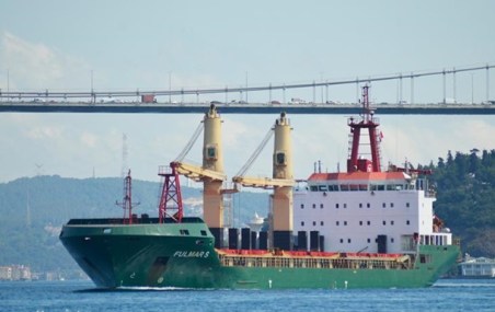 Из Черноморска вышли два судна с украинским зерном
