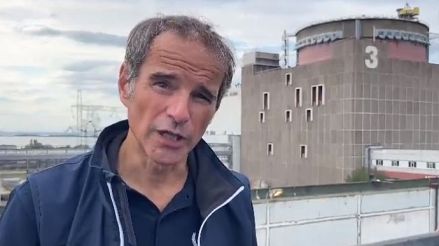 Гросси на ЗАЭС