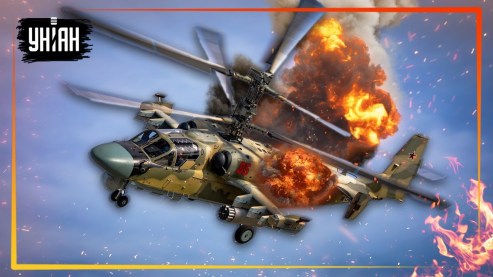 Аллигатор сбит