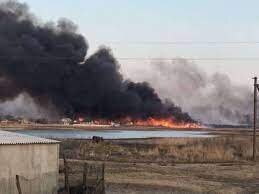 пожары на Кинб.косе