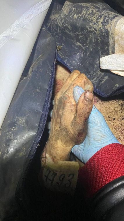 держ мёртвого