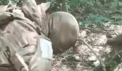 жестокая казнь