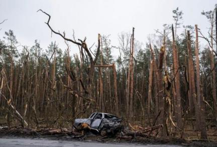 ущербокружсреде