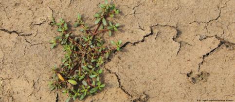 Херсонщина -пустыня