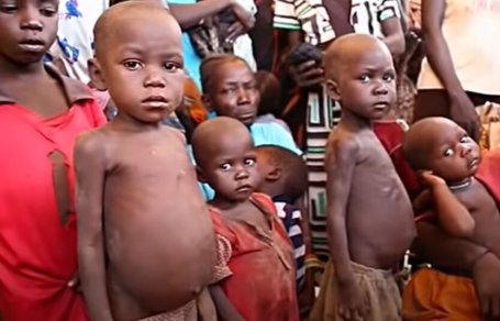 голодают более 800млн